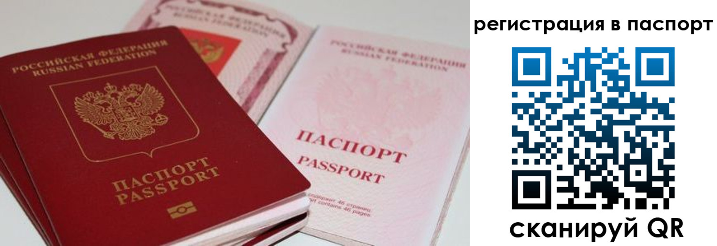 найти адрес прописки в Апатитах